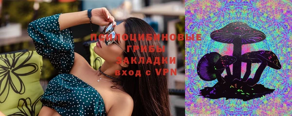 не бодяженный Верхний Тагил