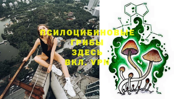 jwh Верея