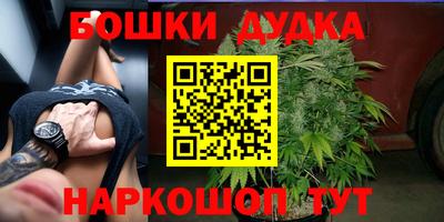 прущие крисы Кандалакша