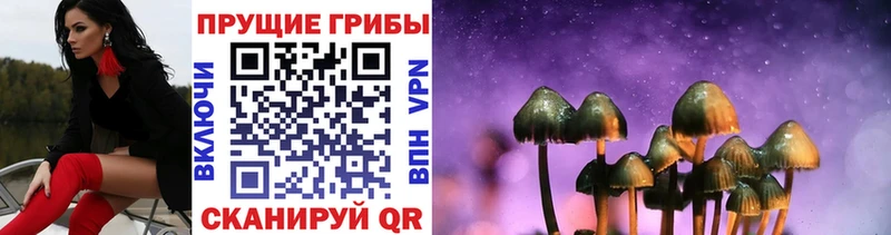Галлюциногенные грибы мухоморы  Медногорск 